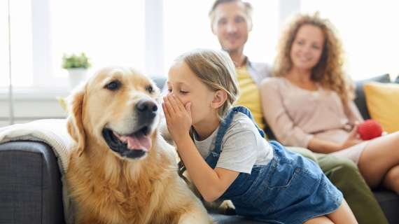 Children and dogs, being safe