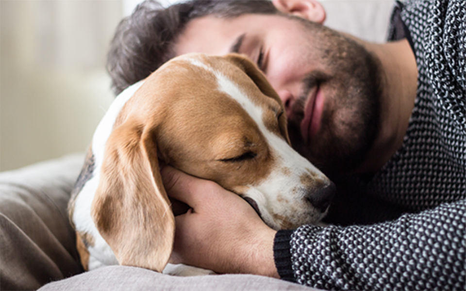 01-22_how_having_a_pet_helps_your_mental_health_low