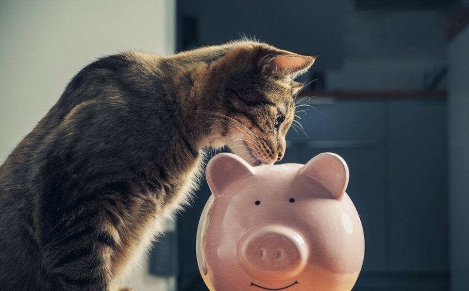 01-22_plan_your_budget_0