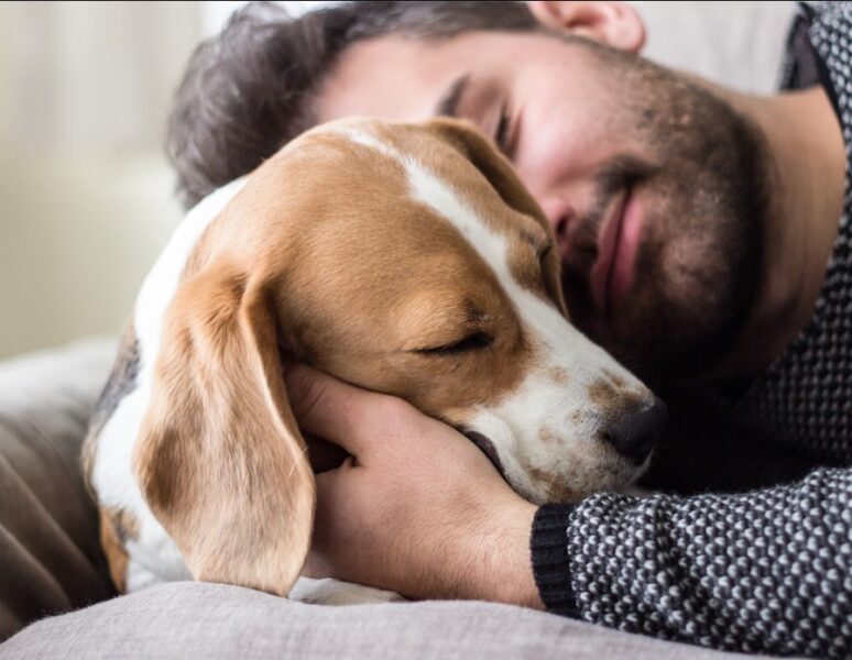 apprendre_a_son_chien_a_rester_seul_0