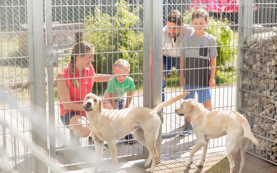 breeders_vs_shelters_0_1