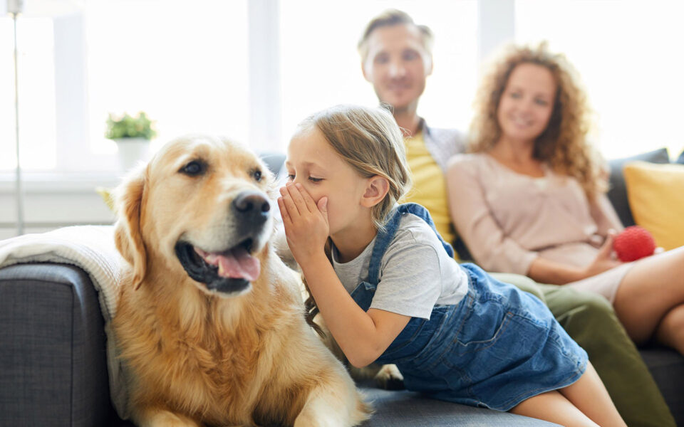 chiens_et_enfants_2_1