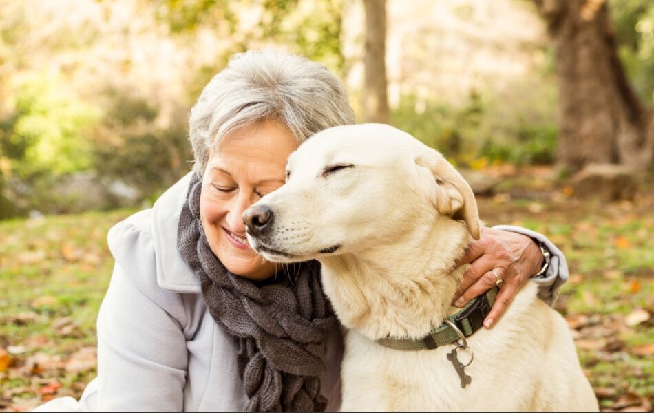 dog_adoption_0