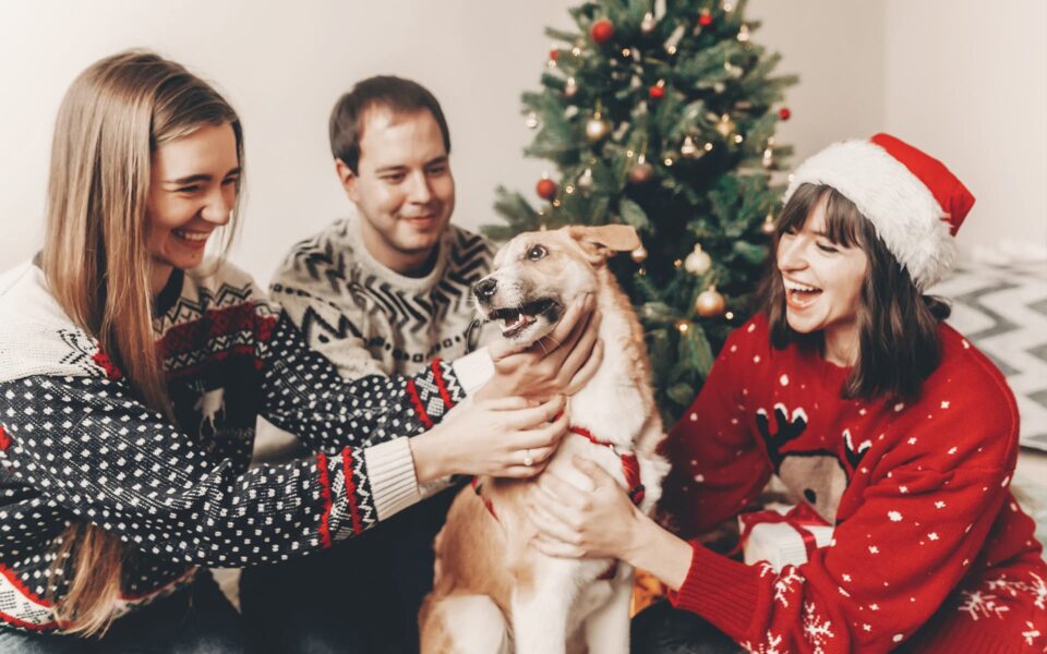dog_vs_guests_2_0