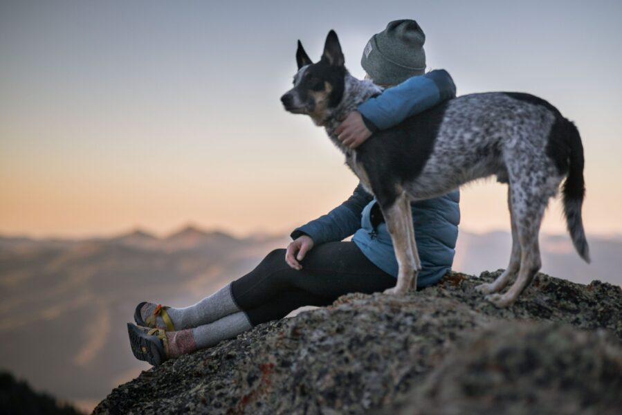 dogs_health