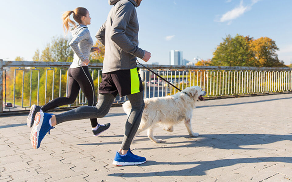 how_to_make_your_dog_your_workout_partner_0