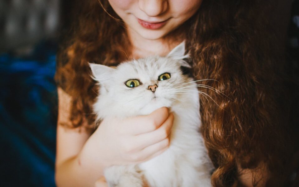 oreilles_de_chat_chaudes_0