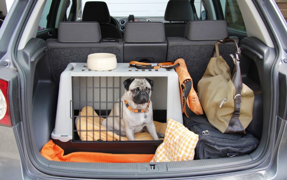right_kennel_0